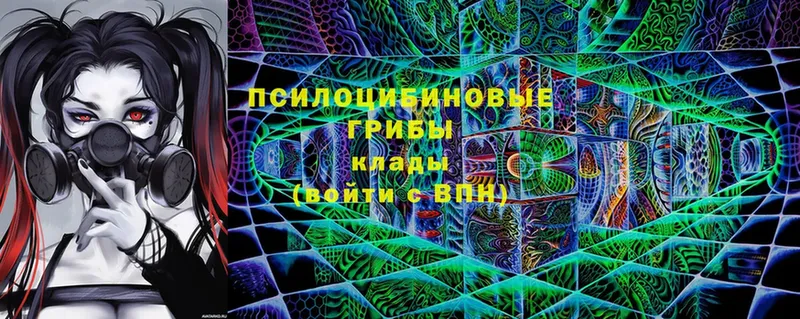 Псилоцибиновые грибы Magic Shrooms  гидра tor  Тосно  закладки 